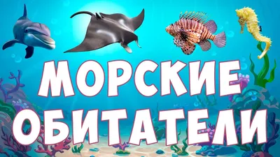 Набор игровой 1TOY Морские Обитатели 12предметов Т50513 купить по цене 7.8  руб. в интернет-магазине Детмир