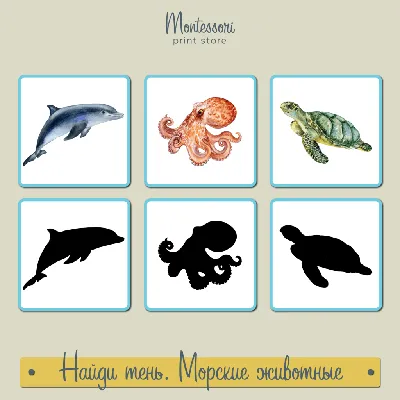 Морские животные для детей | Обитатели морей и океанов | развивающее видео  для малышей - YouTube