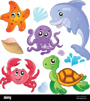 Морские животные картинки для детей | Для детей, Картинки, Животные