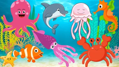 Морские животные картинки для детей | Морской конёк, Для детей, Животные