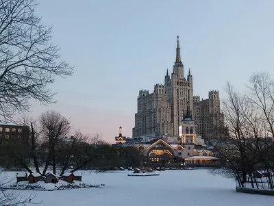 В Московском зоопарке рассказали, как обитатели отреагировали на ледяной  дождь