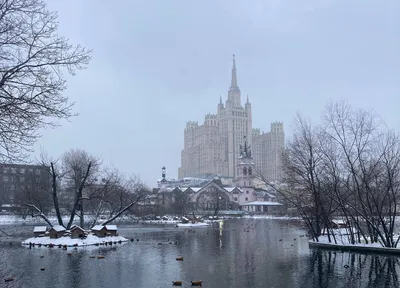 Беби-бум в Московском зоопарке