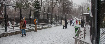 Как спасали зоопарк - Мослента