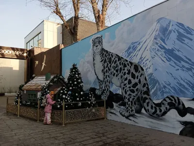 В Московском зоопарке рассказали, как помогают животным пережить холода –  Москва 24, 20.01.2021