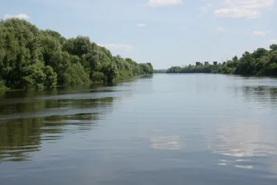 Обмеление Москвы-реки может стать критичным | Пикабу
