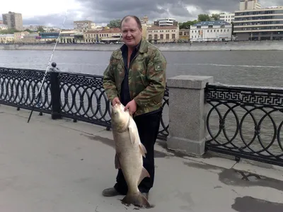 Москва-река» — создано в Шедевруме