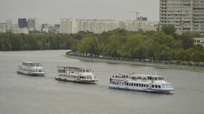 Летняя Москва-река | Красота в деталях | Дзен