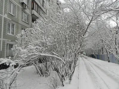 Величественная Москва в снегу: фото и изображения в высоком разрешении