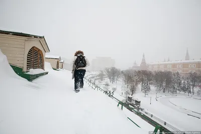 Снежный день: Москва в фотографиях