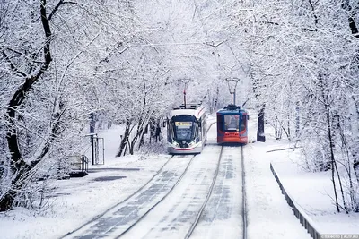 Москва📸 Куда пойти? on Instagram: “Зима в Москве начнется вовремя❄️ 1  декабря температура снизится вплоть до -6 градусов, а влага на дор… | Зима,  Москва, Новый год