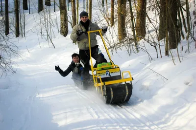 Бюджетные снегоходы: дешевле только на лыжах Автомобильный портал 5 Колесо