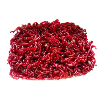 Мотыль живой (вес./цена за грамм, крупный)