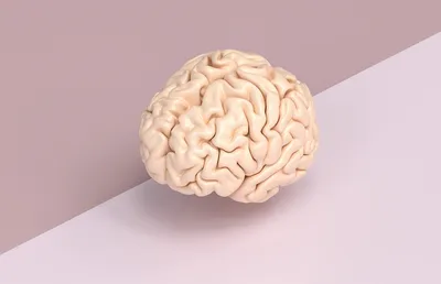 Что будет, если съесть человеческий мозг? | Бобёр SHOW | Дзен