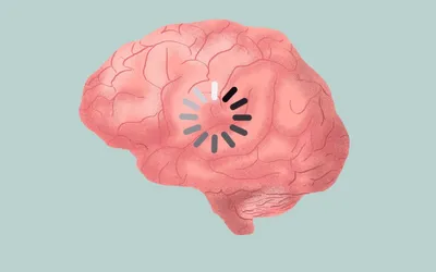 Головной мозг: основные функции и заболевания | «Лечебно-диагностический  центр на Вернадского»
