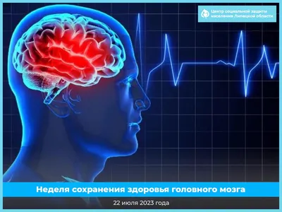 Квест «Мозг» в Санкт-Петербурге от «4 мозга»
