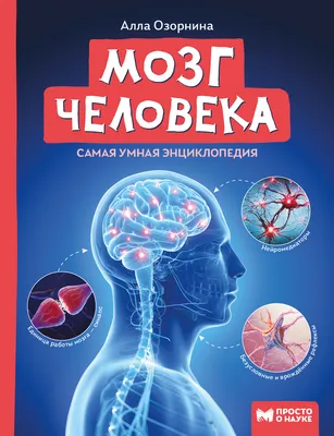 Видеокурс «Здравствуй, мозг! Как научиться учиться»