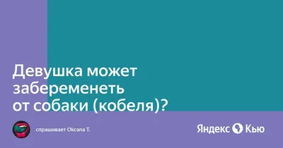 Признаки беременности у собак ᐈ Зоомагазин MasterZoo