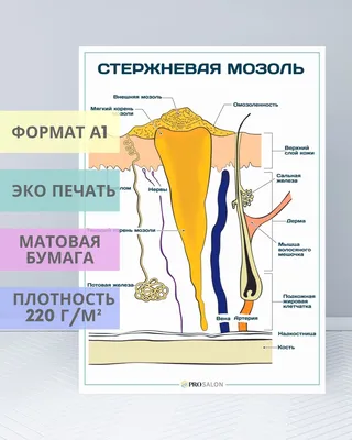 Как лечить мозоли и трещины - Клиника ТРИНИТИ (Москва)