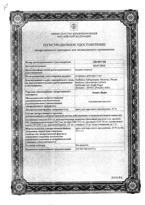Легавые России Pointing Dogs of Russia | Facebook