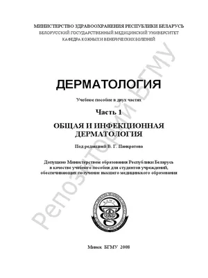 Дерматит у собак: виды, причины, симптомы и лечение