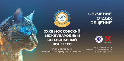 Хлоргексидин, 0.05%, раствор для местного и наружного применения, с  урологической насадкой, 100 мл, 1 шт. купить по цене от 25 руб в  Санкт-Петербурге, заказать с доставкой в аптеку, инструкция по применению,  отзывы, аналоги, ЮжФарм
