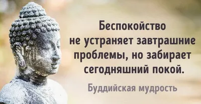 интеллект и мудрость / смешные картинки и другие приколы: комиксы, гиф  анимация, видео, лучший интеллектуальный юмор.