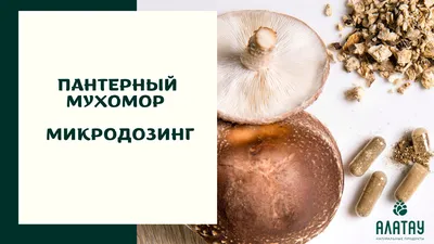 Фольгированный шар \"Гриб, Мухомор\" купить по цене 650.00 руб. в  Екатеринбурге | Интернет-магазин Академия чудес