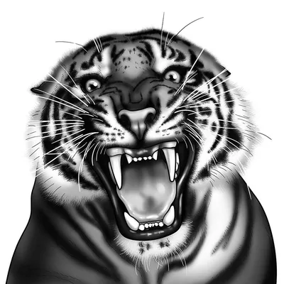 Тигр рисунок для детей - 47 фото