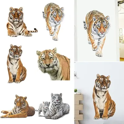Тату мультяшные тигр - 3 Фото и значение татуировок 2024