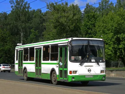 На поиск тела 10-летнего ребенка в Мурыгино едут водолазы из других городов