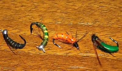 Caddis Pupa v.3