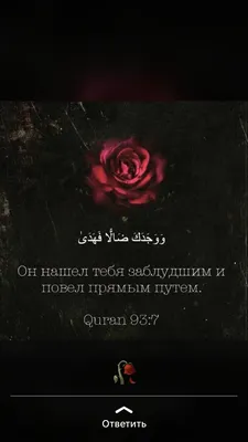 ❤️ Исламские Картинны ❤️ | Quran quotes, Islamic quotes quran, Muslim quotes