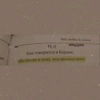 К чему привел запрет мусульманской одежды (абайи) в школах Франции |  ТРИКСТЕР | Научно о религии | Дзен