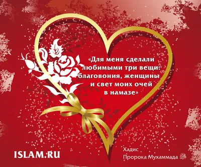 мирвашемудому #рабиульавваль | TikTok