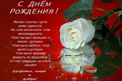 Мусульманские поздравления с днем рождения мужчине мусульманину - 83 шт.