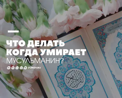 ЧЕЛОВЕК И ТРУД В ИСЛАМЕ - Официальный сайт Духовного управления мусульман  Казахстана