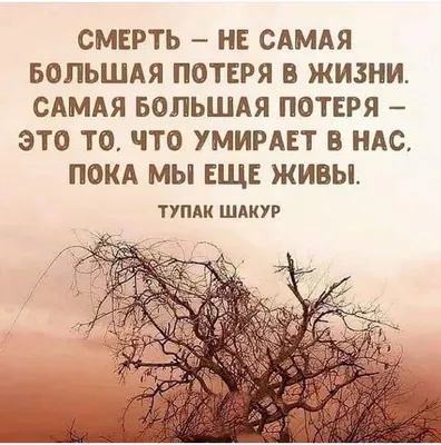Мусульманский человек на коране с арабским смыслом каллиграфии Al Корана.  Стоковое Изображение - изображение насчитывающей мусульмане, восточно:  174308345