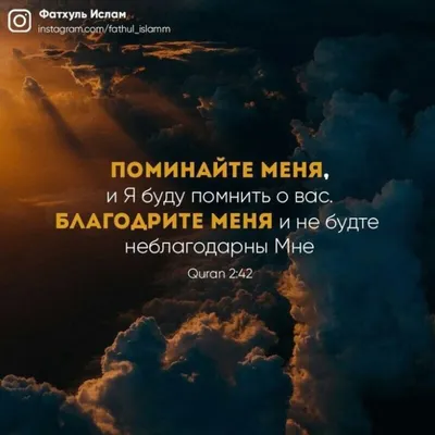 Со смыслом ♥️ #замужем#замужество#брак#ислам#brakmuslim#семья | Instagram
