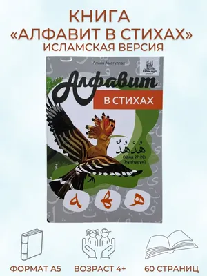 Пин от пользователя Limon на доске Ислам | Стихи из корана, Успокаивающие  цитаты, Мусульманские цитаты