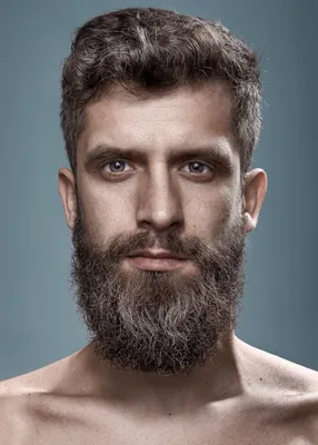Фото мужика с бородой: фото, изображения и картинки