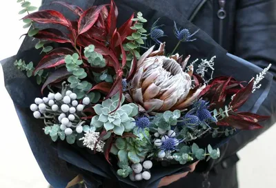 Мужские цветы в подарок: какой букет можно подарить мужчине на день  рождения или юбилей