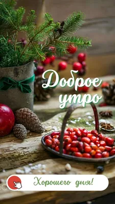 Картинки \"Доброе утро. Вторник\" (779 шт.)