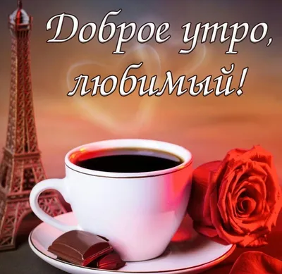 ✨☕❄C добрым утром! У будущего есть одна особенность: стоит только в него  заглянуть как оно тут же меняется, потому что ты его видел, а это… |  Instagram