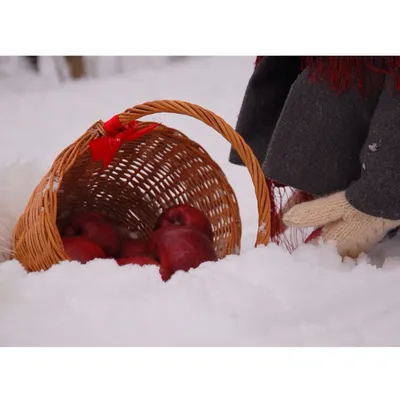 На снегу идеи: вдохновляющие снимки