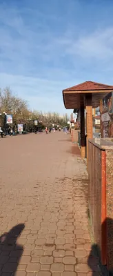 Феодосия.Набережная. | Из северной столицы в крымское село | Дзен