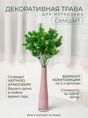 Как подготовить растения марихуаны к периоду цветения - MyCannabis.com