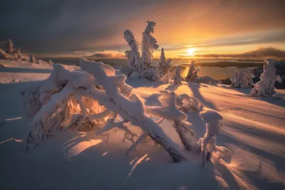 Поздняя осень начало зимы (55 фото) - 55 фото