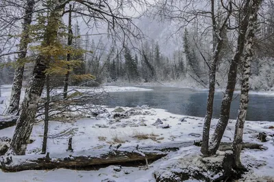 Начало зимы. Фотограф Петр Косых