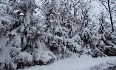Начало зимы в Кольском Заполярье. — Путевые заметки и фотографии от  СерогоШансона