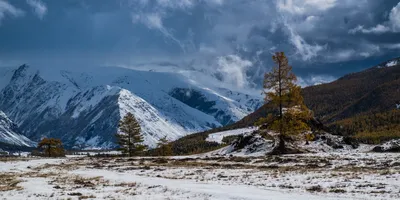 Обои на рабочий стол Начало зимы в Сибири, фотограф Галина Хвостенко, обои  для рабочего стола, скачать обои, обои бесплатно